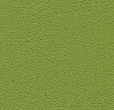 Symphony Classic Scallion